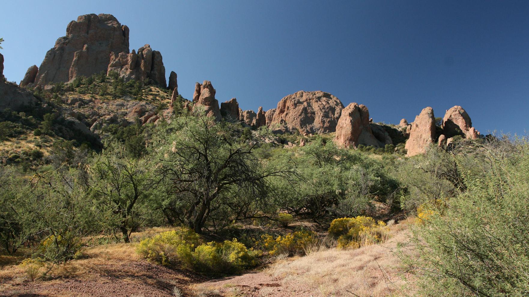 Purchase opens 32,600 acres near Coronado Forest to hiking, hunting